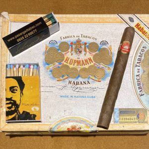 سیگاربرگ کوبایی H.upmann amatistas