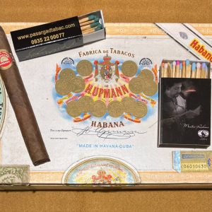 سیگاربرگ کوبایی اچ آپمن، اچ آپ من پتیت کرونا H.Upmann Petit Corona