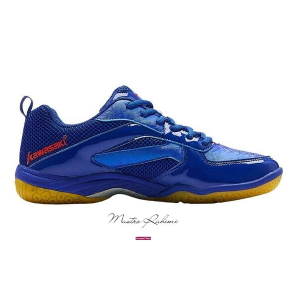 ZHUIFENG SERIES INDOOR SHOES