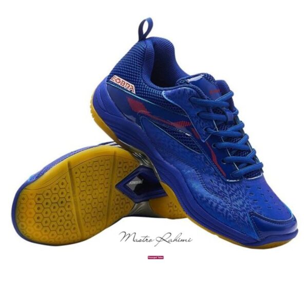 ZHUIFENG SERIES INDOOR SHOES