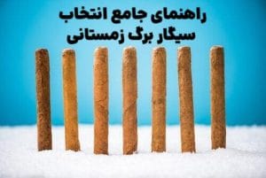 راهنمای جامع انتخاب سیگار برگ زمستانی : از طعم تا تدخین