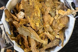 تنباکوهای شرقی: کاوش در اعماق تاریخ، خاک و هنر ترکیبسازی در دنیای پیپ