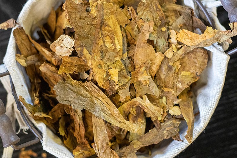 تنباکوهای شرقی: کاوش در اعماق تاریخ، خاک و هنر ترکیبسازی در دنیای پیپ