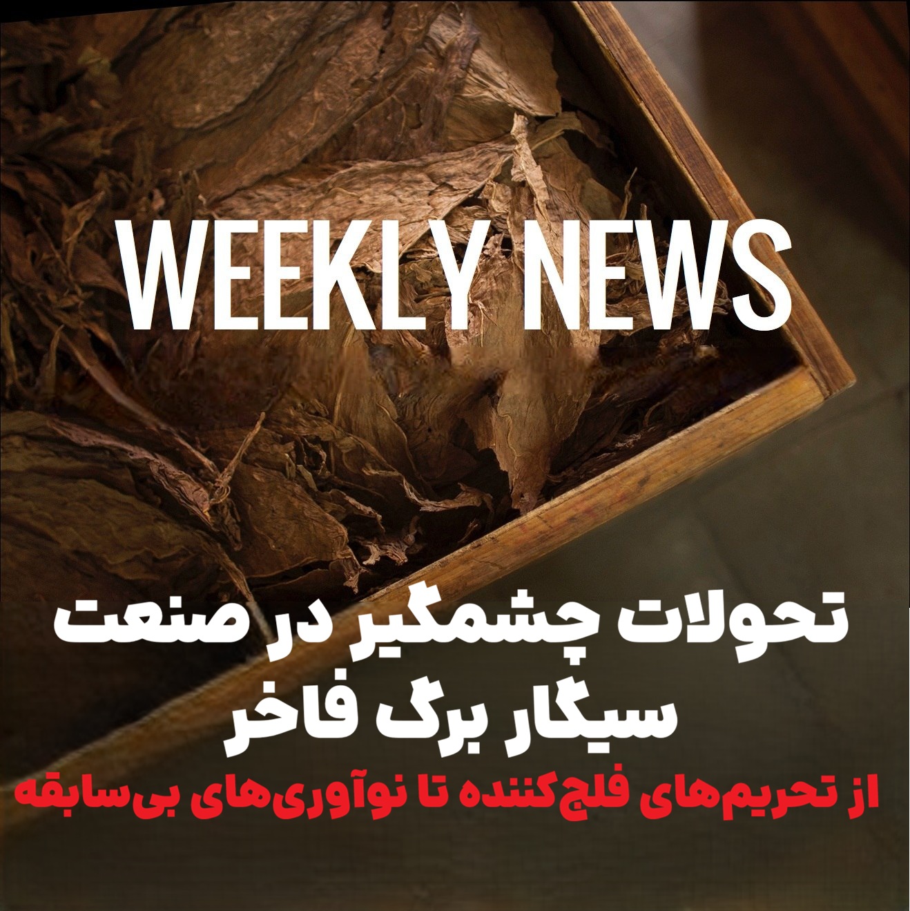 تحولات چشمگیر در صنعت سیگار برگ فاخر