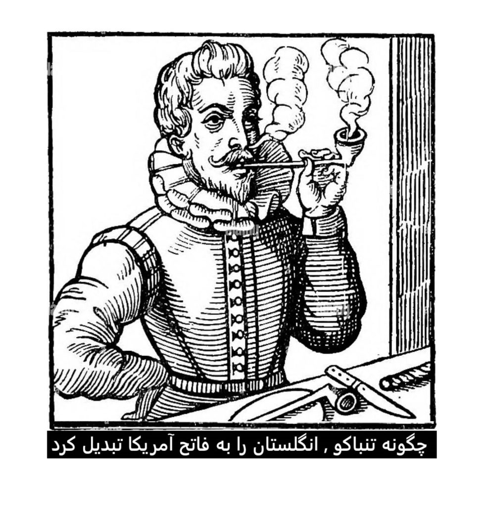 تاریخ تنباکو - چگونه تنباکو انگلستان را به فاتح آمریکا تبدیل کرد